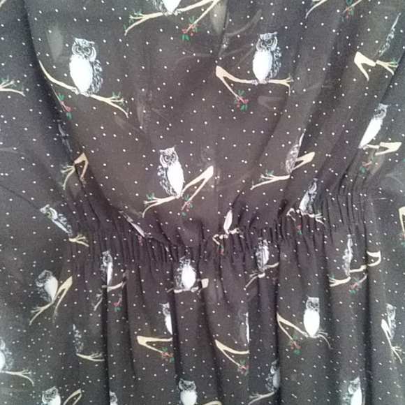 Sheer Owl Print Tunic Dress - Picture 2 of 3